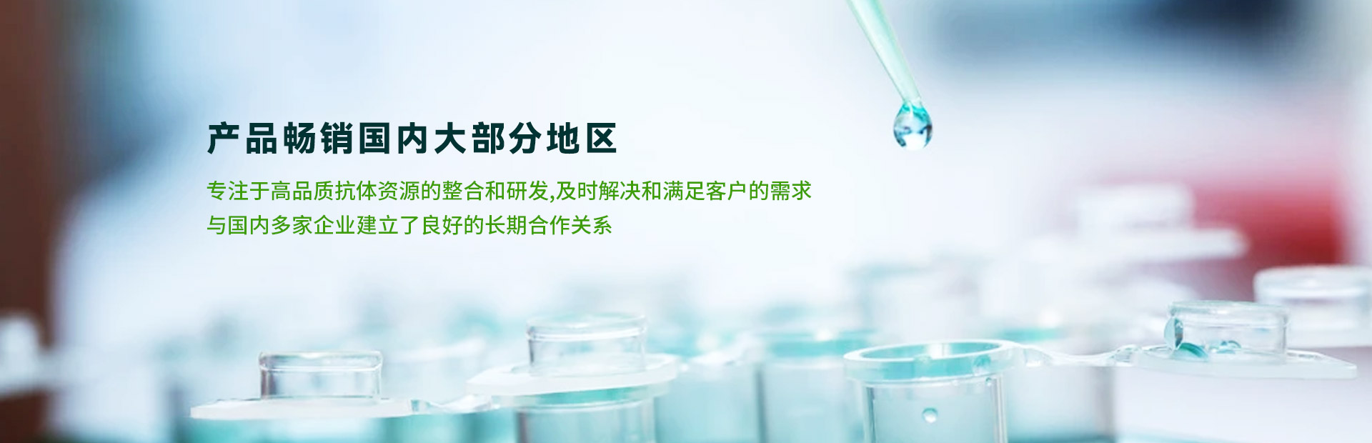 魚(yú)臺(tái)齊鑫化工有限公司<br>